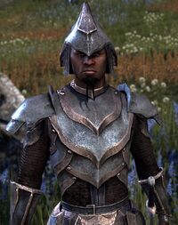 ESO Alik'r-Champion.jpg