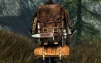 SR CC Abenteurerrucksack 5.jpg