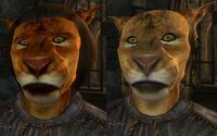 OBL Rassen Khajiit.jpg