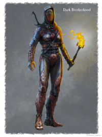 Skrim Artwork Dark Brotherhood Female Armor.png